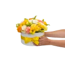 Box žlutých květin